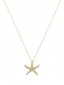 "Asterias #1" gold K14 necklace