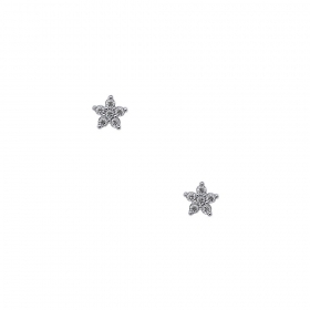 Χρυσά σκουλαρίκια Κ14 "White Star"